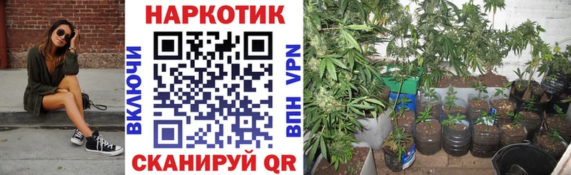 Купить закладку Тында МАРИХУАНА  МДМА  Alpha PVP  Меф мяу мяу  ГАШИШ  COCAIN 