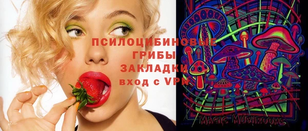 сатива Верхний Тагил
