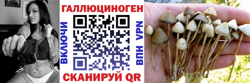 Галлюциногенные грибы ЛСД  где купить наркоту  Тында 