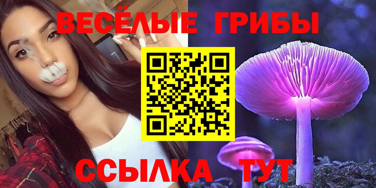 Псилоцибиновые грибы MAGIC MUSHROOMS  Вход с VPN  Тында 