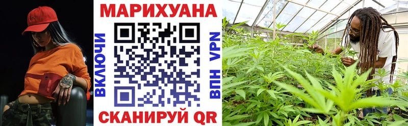 продажа наркотиков Тында Бошки марихуана SATIVA & INDICA